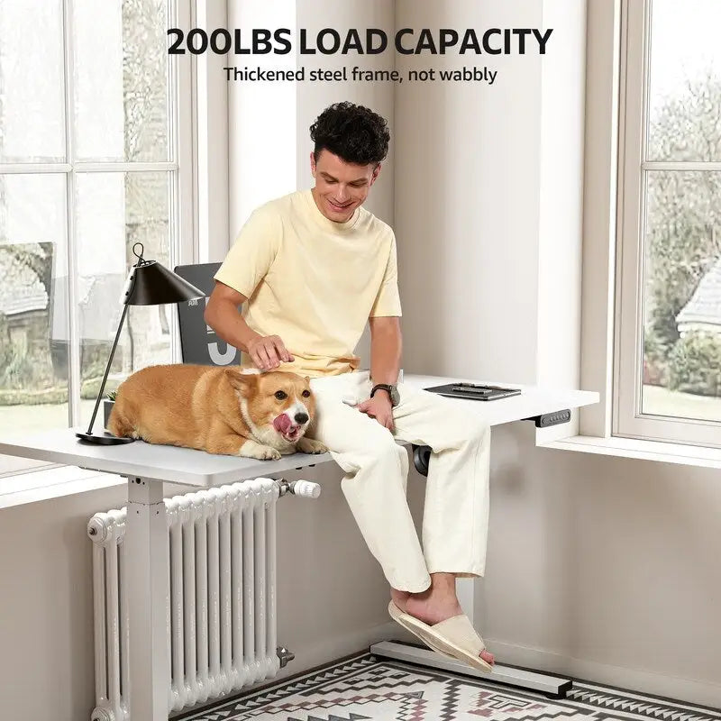 48x24 Inch Electric Height-Adjustable Sit-Stand Desk with Cable Management - 200 lb Capacity